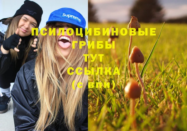 меф Абдулино