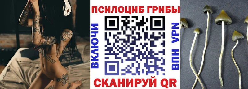 Галлюциногенные грибы мухоморы Каменногорск